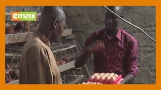 Poultry farmers say cost of feeds high in Kenya