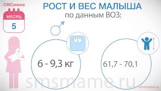 Ребенок 5 месяцев - рост и вес, режим дня, питание ребенка