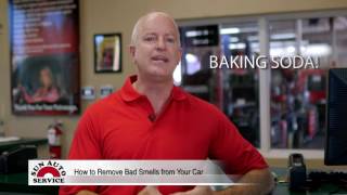 How to Remove Bad Smells from Your Car