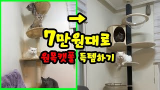 [알려줄고양]경험담으로 집사들 돈 아껴드립니다 / 천 캣타워 샀다가 비싼 원목 캣타워 사게되는 이유! / 제작 없이 원목 캣폴을 저렴하게 사는 핵 꿀팁!