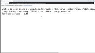 Remote Code Execution in Timthumb