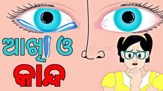 BUDHIA BUDHABAR-67 | ଆଖି ଓ କାନ୍ଦ | Human Eye in Odia | Why we cry | Odia fact | BOU RA GAPAPEDI