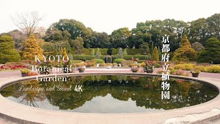 『秋の京都散策・京都府立植物園』Autumn Kyoto Walk/Kyoto Botanical Garden/4K Video