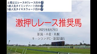 【競馬】キーンランドC　新潟2歳S予想2021年8月29日推奨レース＆推奨馬