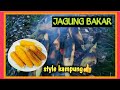 Membakar Jagung Pulut Cara Tradisi