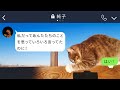 【line】臨月の嫁をこき使う性悪姑「甘えないで家事やれw」→全てを知った旦那がある事実を伝えた時の義母の反応がw