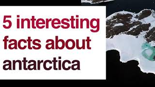 5 Interesting Facts About Antarctica