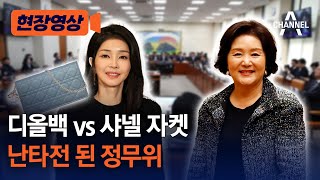 [현장영상] 디올백 vs 샤넬 자켓 난타전 된 정무위 / 채널A