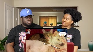 Kidd and Cee Reacts to Pets That Will Make Your Day 10 Times Better!!! LOL
