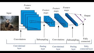 Convolutional Neural Networks شرح بالعربي الشبكات العصبية التلافيفية