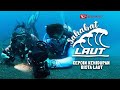 Underwater Macro Photography: Amed Bali | Daihatsu Sahabat Laut Episode 6