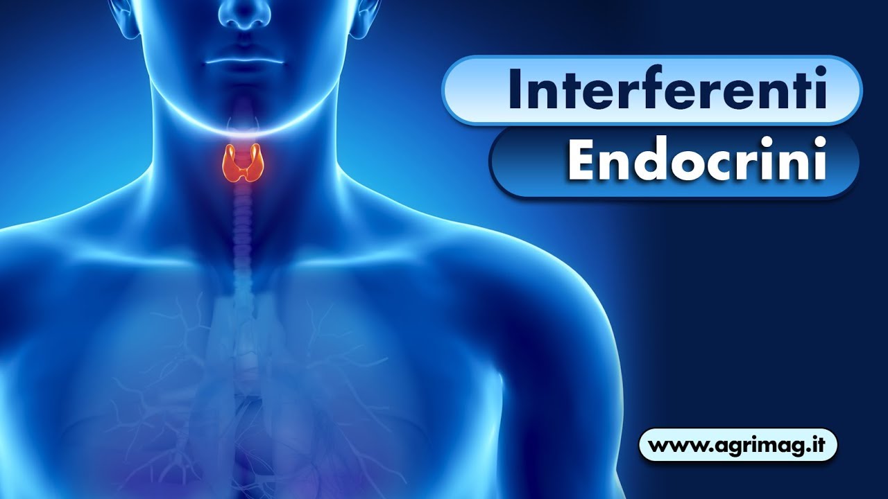 Pesticidi E Interferenti Endocrini: L'effetto Cumulativo E I Problemi ...