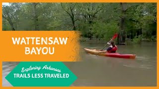 Exploring Arkansas: Trails Less Traveled: Wattensaw Bayou