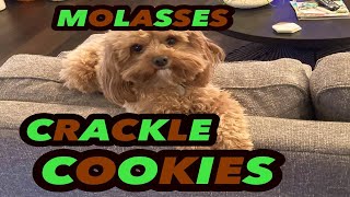 My dog bakes cookies! Sophie makes Disney’s Molasses Crackle Cookies! Prepare to be amazed!