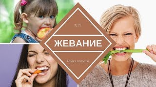 Жевание. Как нужно жевать еду (Здоровое питание #1)