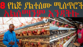 8ቱ ስለ ኬጅ cage  የማታውቋቸው ሚስጥራዊ ነገሮች እና ለ50 ዶሮ ለ150ዶሮ ለ200 ዶሮ የተዘጋጀ ኬጅ የእንቁላል ማርትን በ2እጥፍ ይጨምራል ሙሉ መረጃ