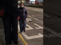 pigeon was unfortunately run over by a car 灰鴿俾車車死