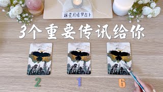 🪶🦉3个重要传讯给当下的你～当下状态+需要知道的重要讯息📨塔罗占卜