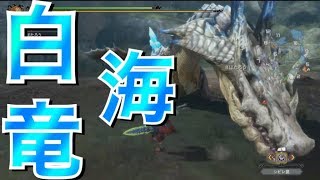 【MH3G】　コンビ実況　初見で挑んだラギアクルス亜種が強すぎる話し