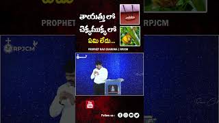 తాయత్తులో చెక్కముక్కలో ఏమి లేదు | Ps.Ravi Chandra #shorts #thayethu #cross #tongue #power #trending