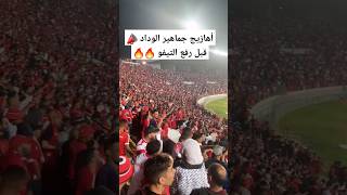 📣● أهازيج #جمهور_الوداد  المرعبة قبل رفع #تيفو رائع 🔥🔥