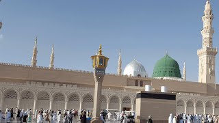 The Love, Praise, and Reverence of the Prophet Muhammad ﷺ in the Qur’an, Sunna, and History