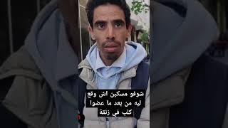 شوفو مسكين اش وقع ليه من بعد ما عضوا كلب في زنقة