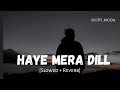 Haye Mera Dil [Slowed + Reverb] Alfaaz | Honey Singh | Lofi MOON
