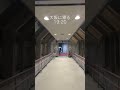 【vlog】～ぼっち日帰り北海道旅～ in sapporo hokkaido