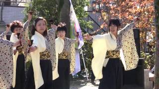 多摩っこ（八王子いちょう祭り2012・陵南公園分園）