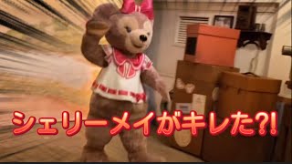 【おうちディズニー】東京ディズニーシー【ハプニング】シェリーメイちゃんがグリーティングでキレた！？・bgm・クリスマス・ダッフィーフレンズ・vlog・クリスマス・TDS・TDL・ディズニーシー・シー