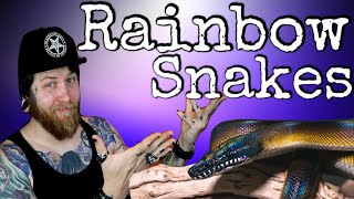 Top 5 RAINBOW Snakes You Can Own