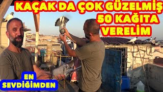 EN SEVDİĞİ KAÇAK SESSİZ SAKİN İNDİĞİNİ GÖRÜNCE KENDİNDEN GEÇTİ