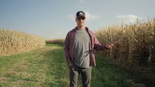 Corn Farmer Sean Blomgren Keeps Corn Rootworm Pressure Off With SmartStax® PRO With RNAi Technology