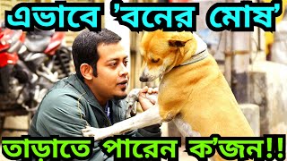 ২০০ পথপশুর ভ্যাক্সিন, আহার ও রিফ্লেকটিভ কলার | 'প্রয়াস' এর প্রয়াস @TheWatchdog24