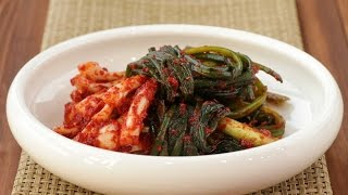 집밥 백선생 시즌2 파김치 : Green onion kimchi [밥타임]