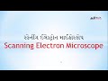 સ્કેનીંગ ઈલેક્ટ્રોન માઈક્રોસ્કોપ scanning electron microscope