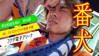 【サッカー観戦VLOG】VSジェフユナイテッド市原千葉！！番犬が一瞬、狂犬になりました。。サッカー観戦VLOG