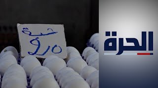 الجزائر.. ارتفاع أسعار البيض يجبر مواطنين على تغيير عادات استهلاكهم