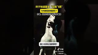 马踏飞燕 #配音 #catfunny #funny #抖音 #catvideos #萌娃 #变装 #funnycatvideos #cute #变装 #舞蹈