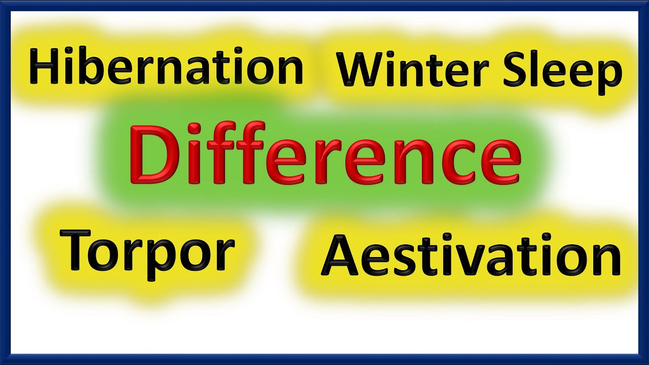 Difference Between Hibernate And Sleep Cutsand Difference Between Hibernate And Sleep Cutsand