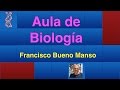 31. PROBLEMAS DE GENÉTICA: HERENCIA LIGADA AL SEXO HEMOFILIA Y DALTONISMO