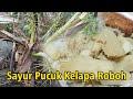 Masak Sayur Pondoh Dari Kelapa Roboh Bikin Makan Nambah Lagi