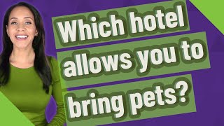 Which hotel allows you to bring pets?