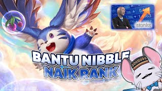 【Honor Of Kings】bantu naikin rank hehe