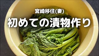 【週末vlog】おばあちゃんと一緒に高菜の漬物を作ってみました！