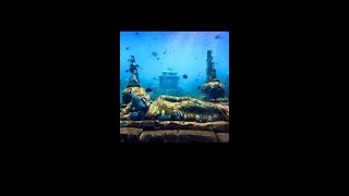 Dwarka Sree Krishna Nagar underwater Real Rare Picture 🖼️#shorts #dwarka