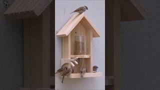 Turn Wine Bottle Into AMAZING Bird Feeder