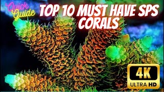 Top 10 must have SPS corals