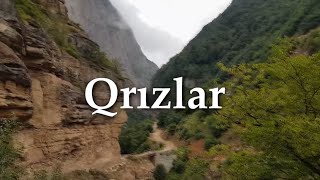 Sədaqət Kərimova.Qrızlar. Müəllif filmi.